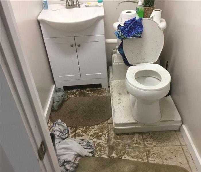 Sewage all over a small bathroom